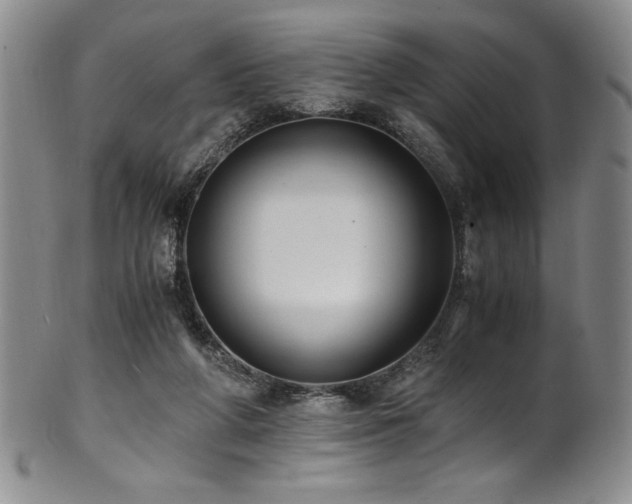 X0000101710210200807101613