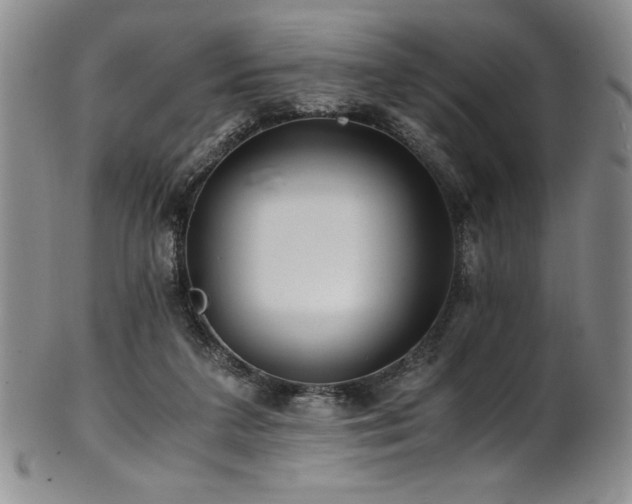 X0000101710211200807101613