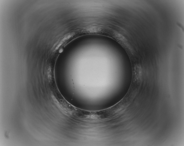 X0000101710212200807101613
