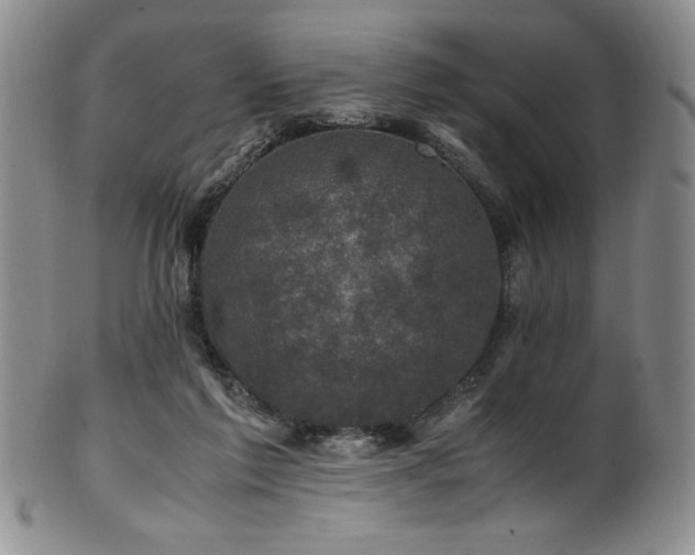 X0000101710213200807101613