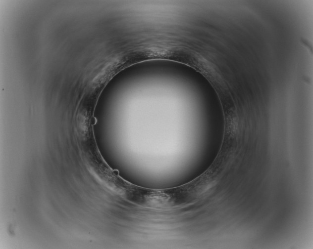 X0000101710215200807101612