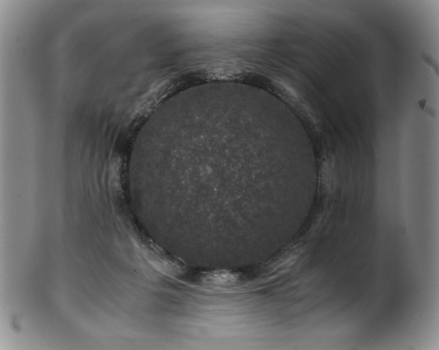 X0000101710217200807101612