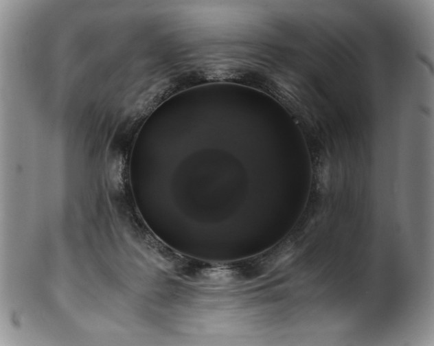 X0000101710219200807101612