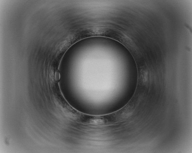 X0000101710220200807101612