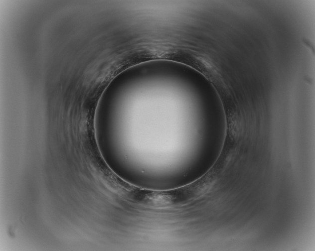 X0000101710221200807101612