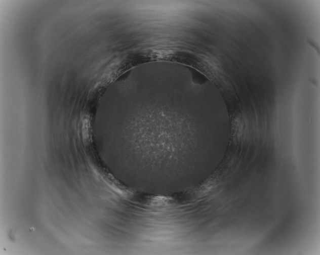 X0000101710222200807101612