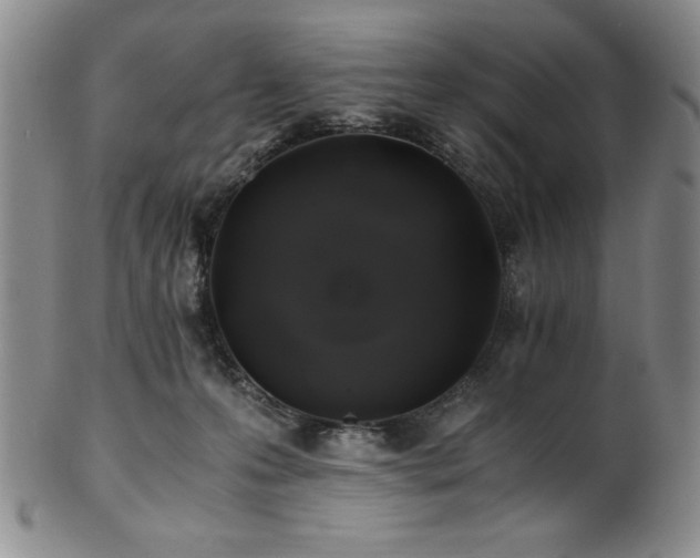 X0000101710223200807101612