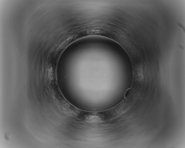 X0000101710224200807101612