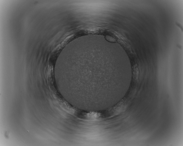 X0000101710225200807101612
