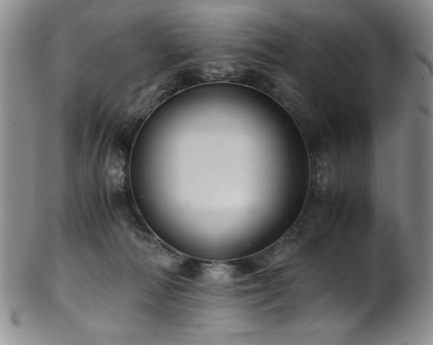 X0000101710226200807101612
