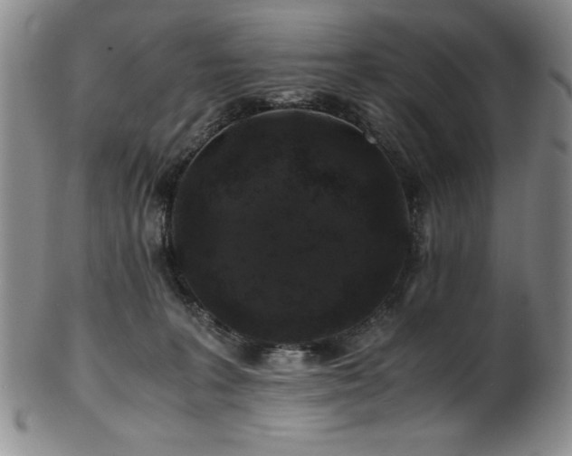 X0000101710227200807101612