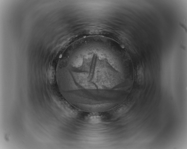 X0000101710228200807101612