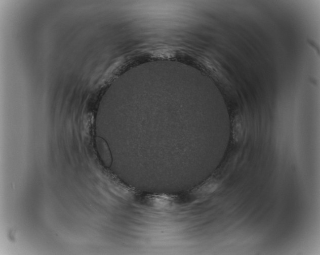 X0000101710229200807101612