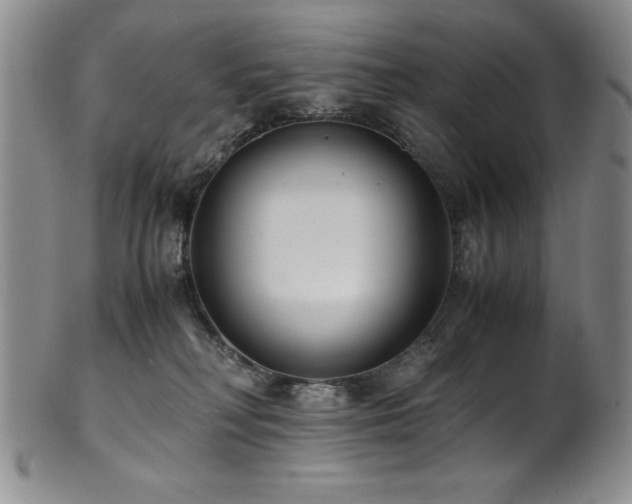 X0000101710230200807101612