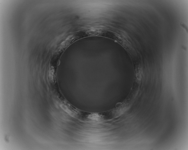 X0000101710231200807101612