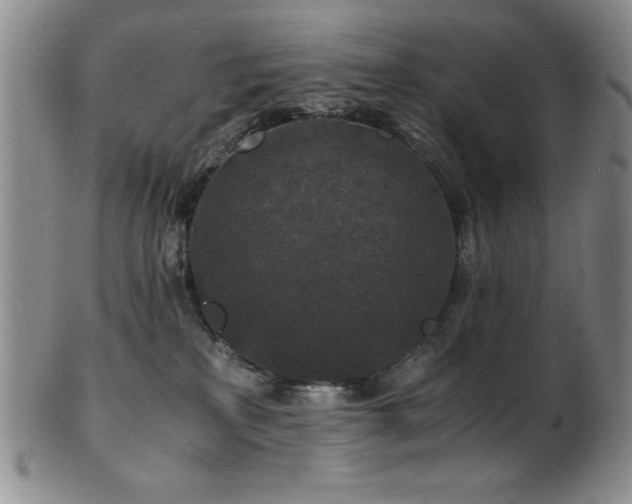X0000101710233200807101612
