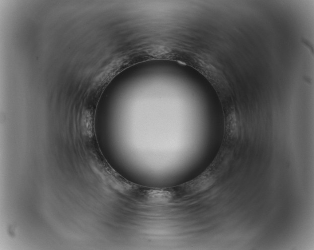 X0000101710234200807101612