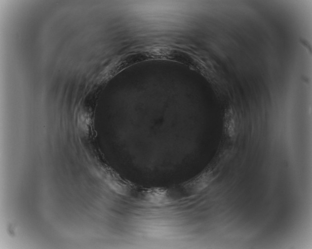 X0000101710235200807101612
