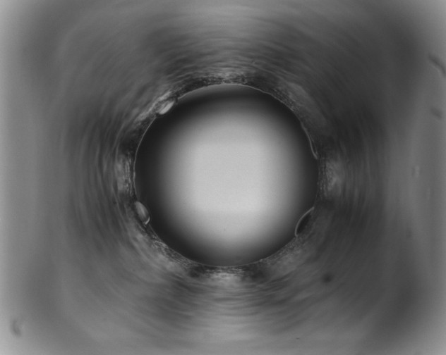 X0000101710236200807101612