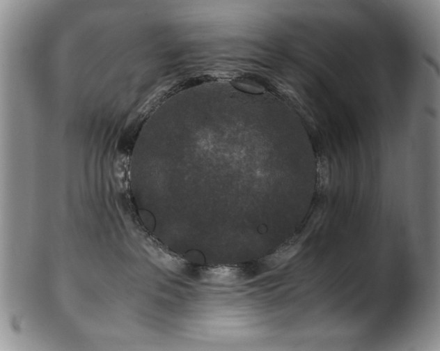 X0000101710237200807101612