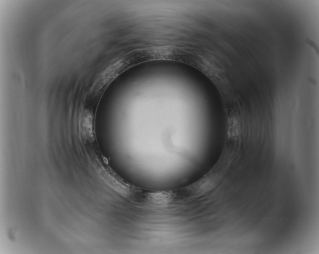 X0000101710238200807101612