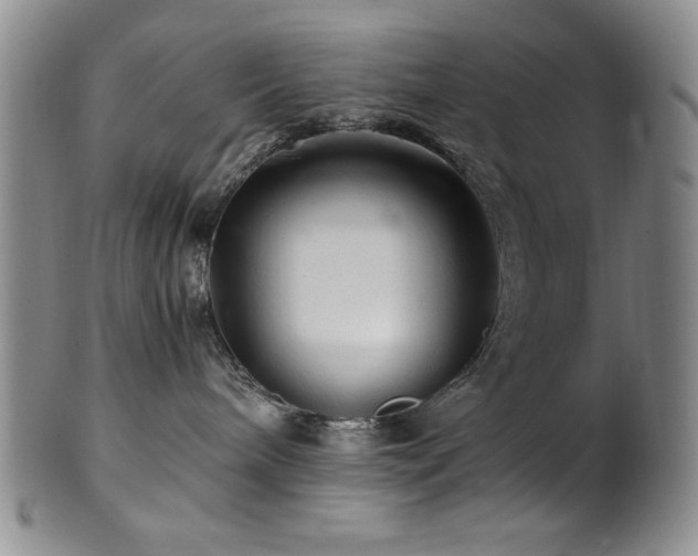 X0000101710240200807101612