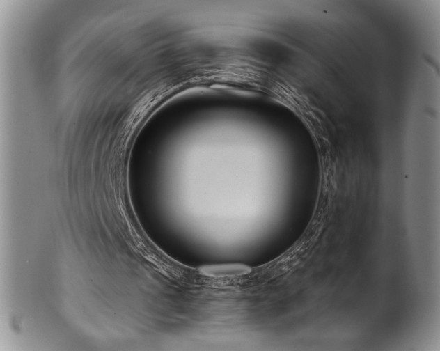 X0000101710241200807101611