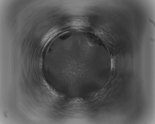 X0000101710243200807101611