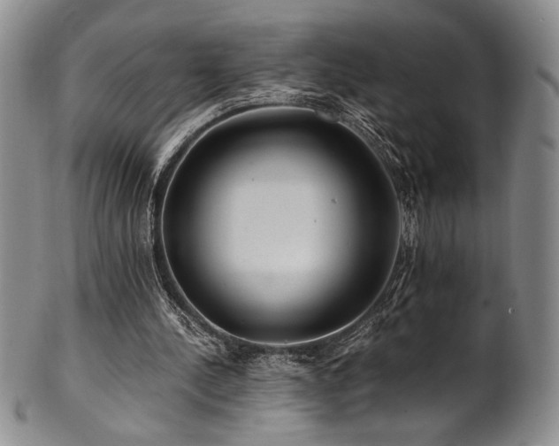 X0000101710244200807101611