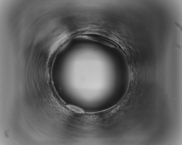 X0000101710245200807101611