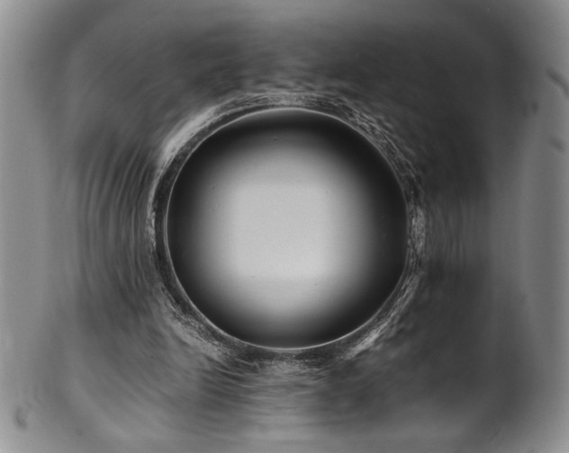 X0000101710246200807101611