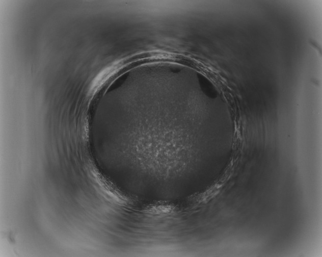X0000101710247200807101611