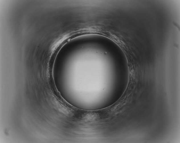 X0000101710248200807101611