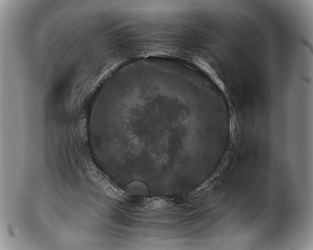 X0000101710249200807101611
