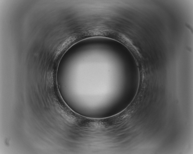 X0000101710250200807101611