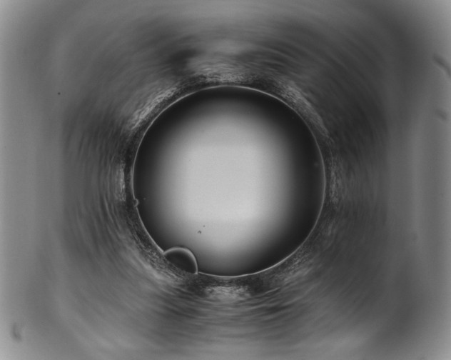 X0000101710251200807101611