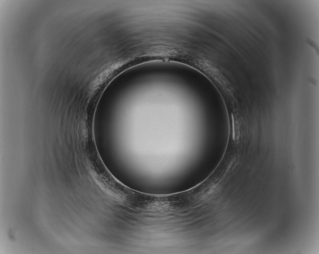 X0000101710252200807101611