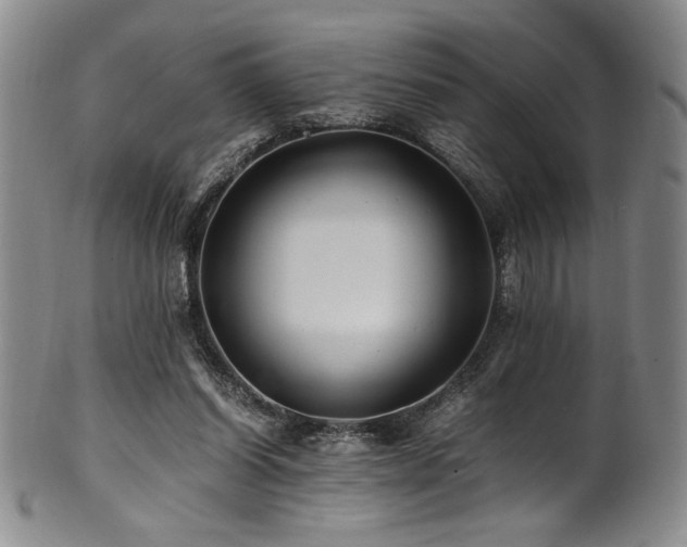 X0000101710254200807101611