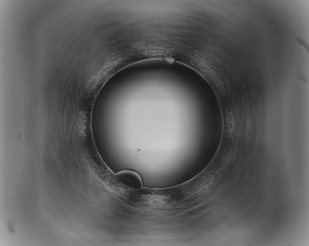 X0000101710255200807101611