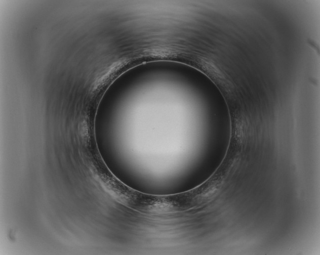 X0000101710256200807101611