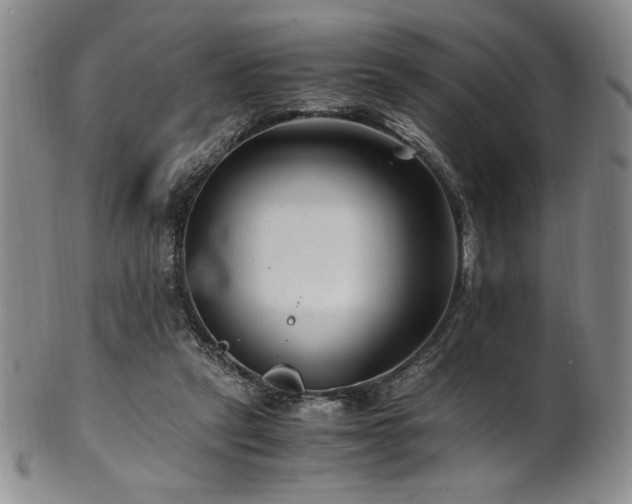 X0000101710257200807101611