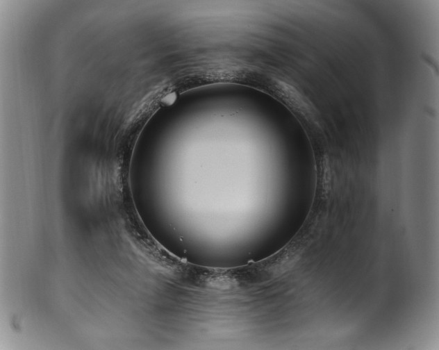 X0000101710258200807101611