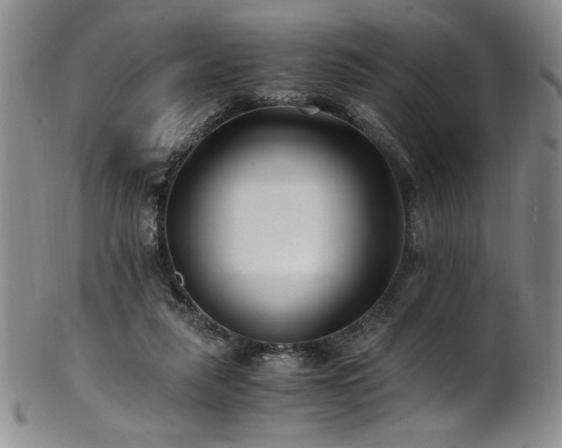 X0000101710259200807101611