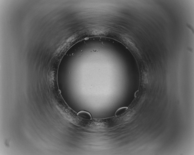 X0000101710260200807101611