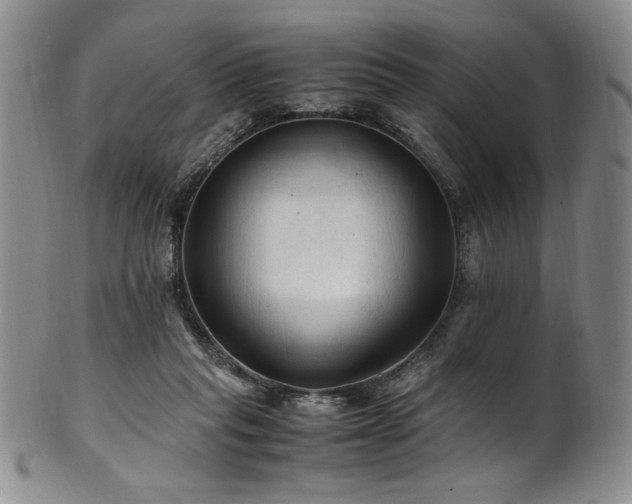 X0000101710261200807101611