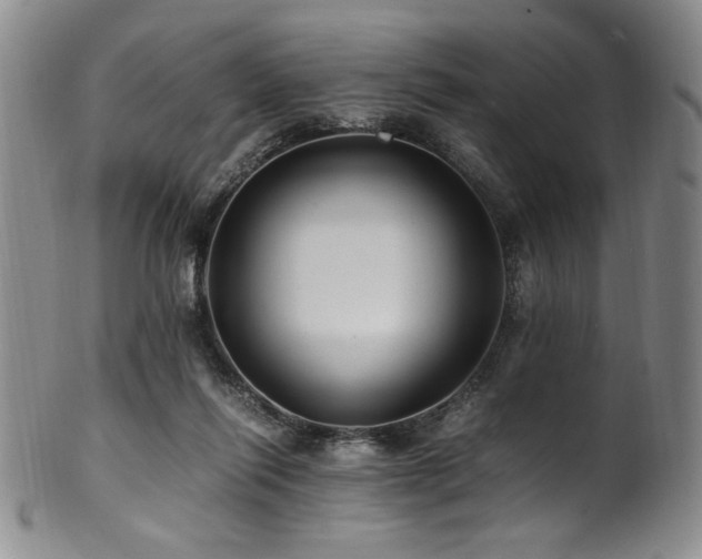 X0000101710262200807101612