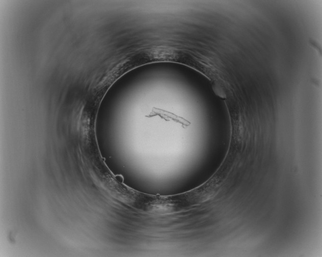 X0000101710263200807101612