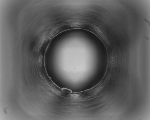 X0000101710265200807101612