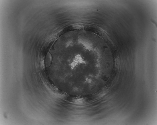 X0000101710267200807101612