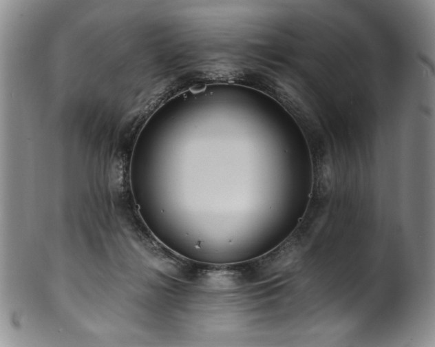 X0000101710268200807101612